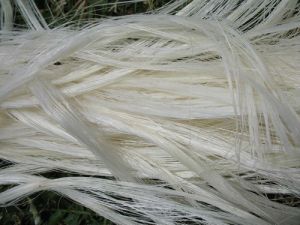 Sisal Fiber Pattern Raw