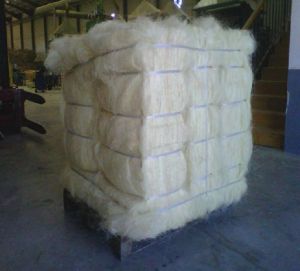 Sisal Fiber For Textile Industry Embroidery Weaving Packaging Type Roll Carton