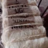 Raw White Sisal Fibre Supplier Tanzania UG Sisal Fiber for Sale For Filling Material