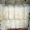 Raw White Sisal Fibre Supplier Tanzania UG Sisal Fiber for Sale For Filling Material - Image 3