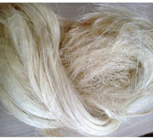 Raw Sisal Fibre For Spinning Bedding Textiles Construction Packaging Type Loose Poly Bags