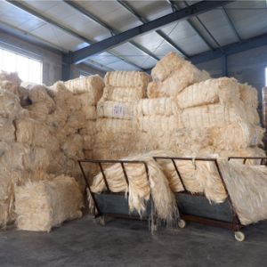 Sisal Fibre For Export Feature Eco-Friendly Fine Finish Shrink Resistance Smooth Texture Recycled
