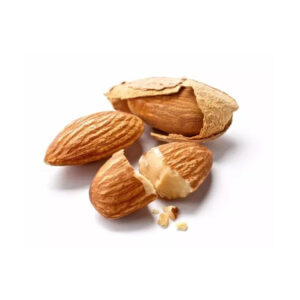 Wholesale USA Raw Dry Fruits Almond Nuts in Bulk California Almonds Price