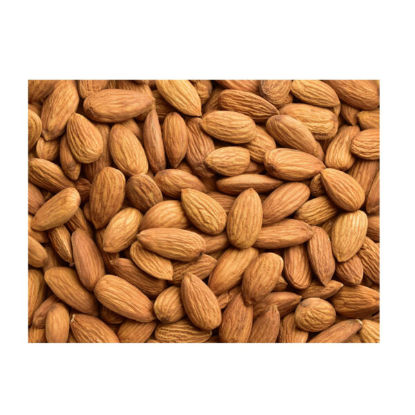 Cheap Price Premium Almond Nuts Almond Kernel Sweet Almond