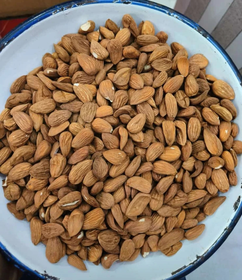 Excellent Quality Jumbo Almonds Kernels Fresh Stock Big Size Almonds Almond Kenya Origin California Available Wholesale Export