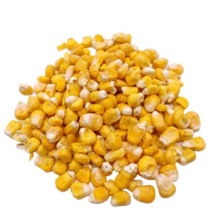 Premium Quality Air Dried Vegetables Yellow Corn for Sale 10MT 20FCL 20k carton From Kenya Non-glutinous 20 Kg 1 Cm AD