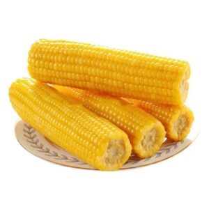 Direct Wholesale Good Quality Frozen Yellow Corn on Cob Fresh Sweet Corn-IQF Processed