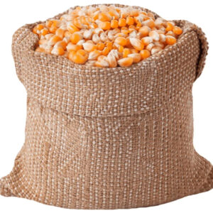 Organic Yellow Maize Corn GMO-Free Dried Animal Feed and Human Food for White Corn Use