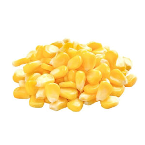 Wholesale Sweet Corn Seed from Kenya Yellow Corn Seeds for Export