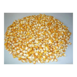 Corn Yellow Maize Dried Yellow Corn Popcorn Corn