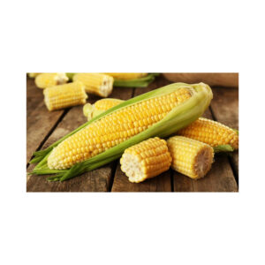 Wholesale Bulk Kernel Dried Yellow Corn