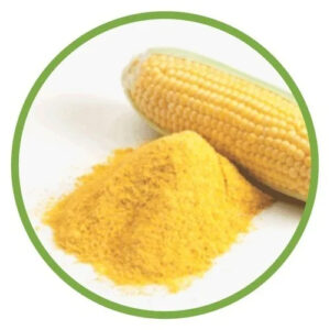 Yellow Maize Yellow Corn Chicken Feed Prices Animal and Bird Feed Yellow Corn Corn Flour