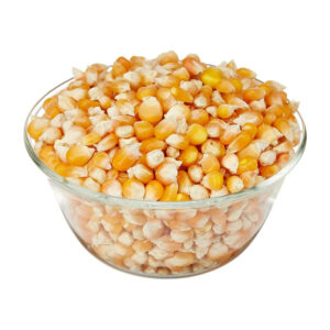 Yellow Corn and White Corn Yellow Maize for Animal Feed