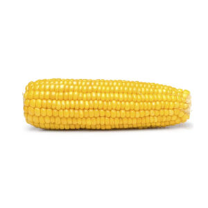 Kenya Bulk Yellow Corn for Human Consumption
