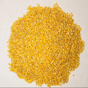 Yellow Corn Dried Style