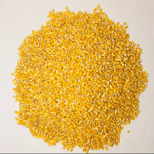Yellow Corn Dried Style
