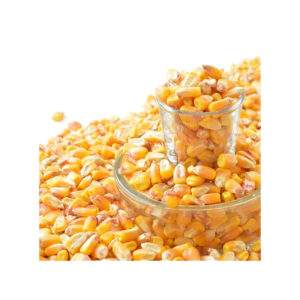 SELLING NEW HARVEST YELLOW CORN and WHITE CORN/MAIZE for HUMAN and ANIMAL FEED.