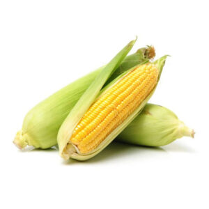 New Crop Canadian Sweet Corn Yellow Corn at Very Good Rates