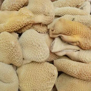 Frozen BEEF HONEYCOMB for Sale