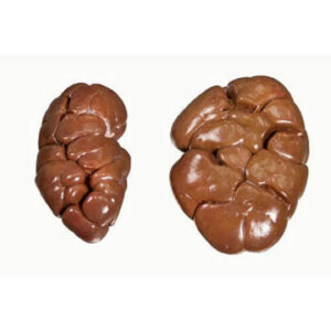 Frozen Beef Heart Kidney