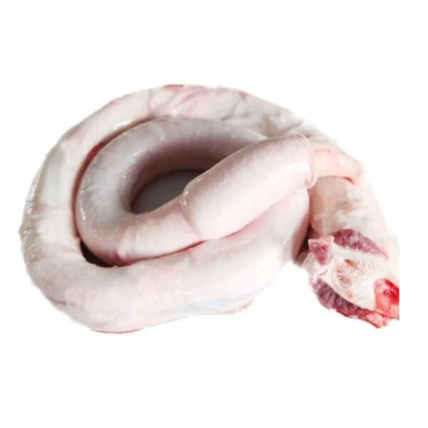 Factory Supply Wholesale Price Frozen Beef Pizzle Halal Boneless Beef Meat Available for Sale