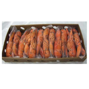 Fresh Cheapest Live Canadian Lobsters Frozen Lobster Tails