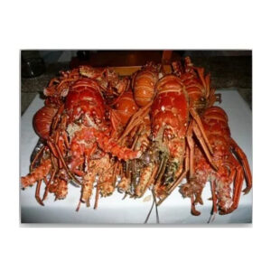 Frozen Whole Lobster Tail Fresh Live Crawfish in Box Dried and Canned Styles Available