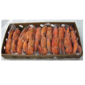 Best Price Live Fresh Frozen American Lobster Available