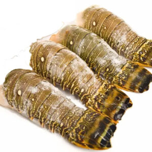 Frozen Lobster Frozen Lobster Tails Fresh Live Lobsters