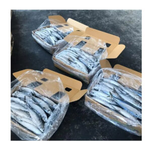 FROZEN PACIFIC MACKEREL W/R FROZEN PACIFIC MACKEREL W/R