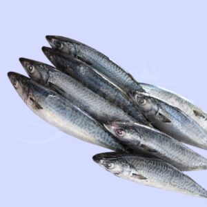 Fish and Seafoods Frozen Mackerel
