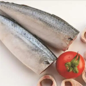 Best Price Good Quality Seafrozen 100-200g Mackerel HGT Fish