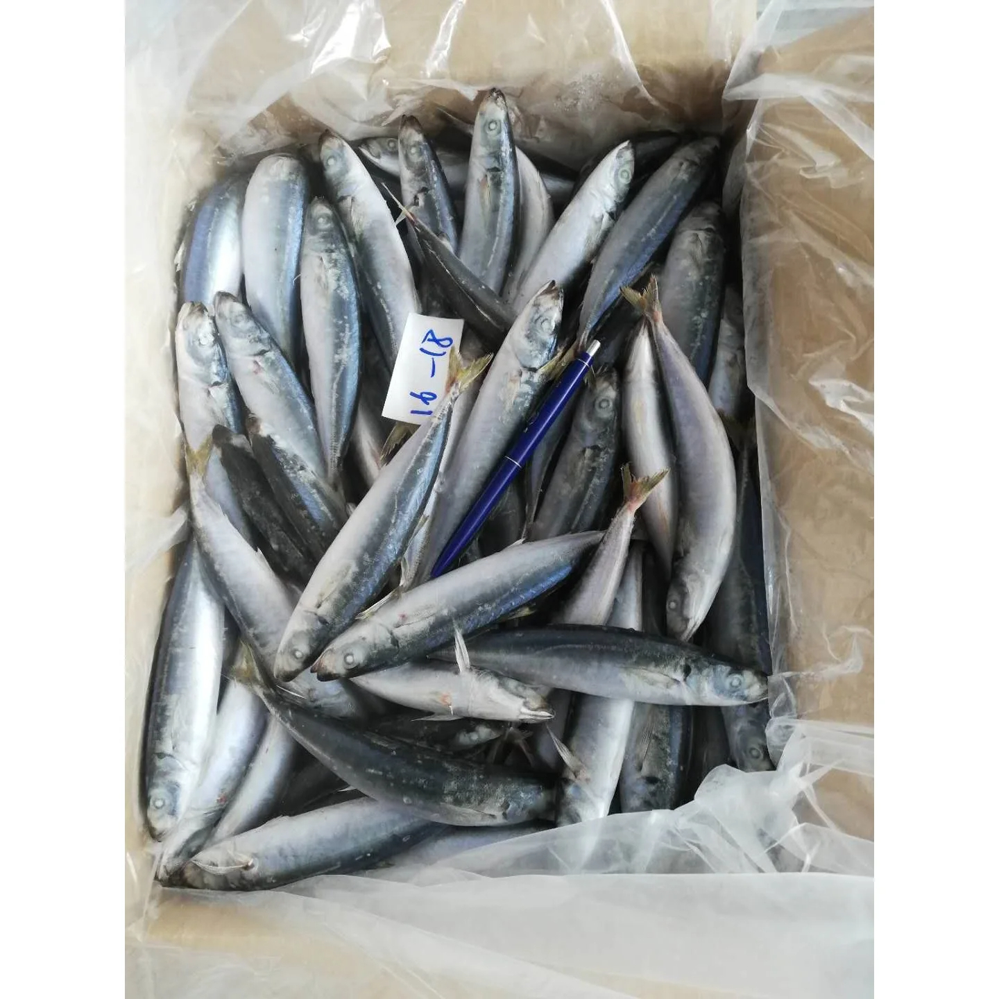 Frozen Mackerel Layang Scad Fish High Quality Cheap Price