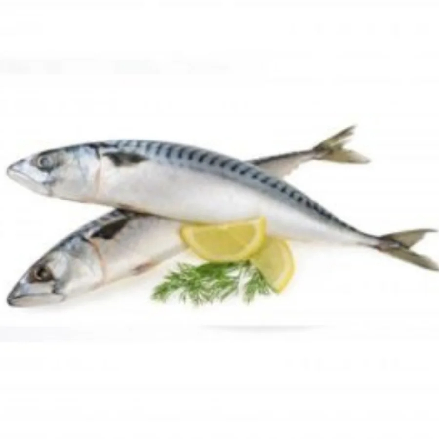 Land Frozen Mackerel Fish Sea Frozen Pacific Mackerel Fish Prices Whole Round
