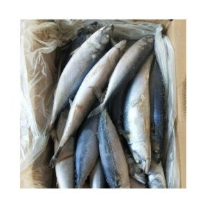 100-200g Mackerel Frozen Fish Pacific Mackerel Tuna
