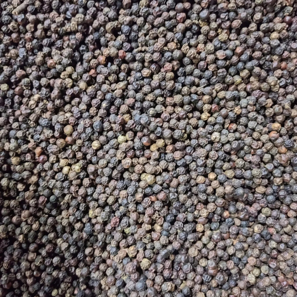 High Quality Kenya Black Pepper Whole Natural Flavor Best Price Single Spices & Herbs Natural Color Discounted