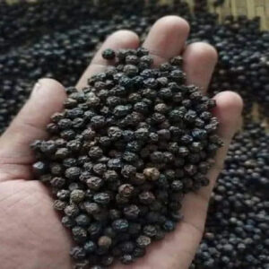 High Quality Bulk Fresh Black Pepper Herb Spice in Whole and Powder Form Dry Whole Black Pepper Herb