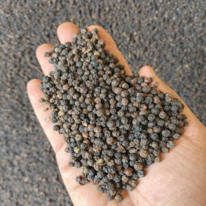 Factory Wholesale Black Pepper Granules Single Herb for Cooking Dried Style