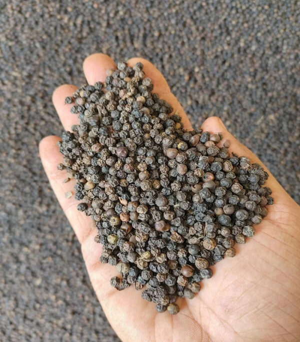 Factory Wholesale Black Pepper Granules Single Herb for Cooking Dried Style