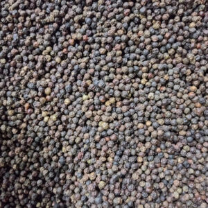 High Quality Vietnam Black Pepper Whole Natural Flavor Best Price Single Spices & Herbs Natural Color Discounted
