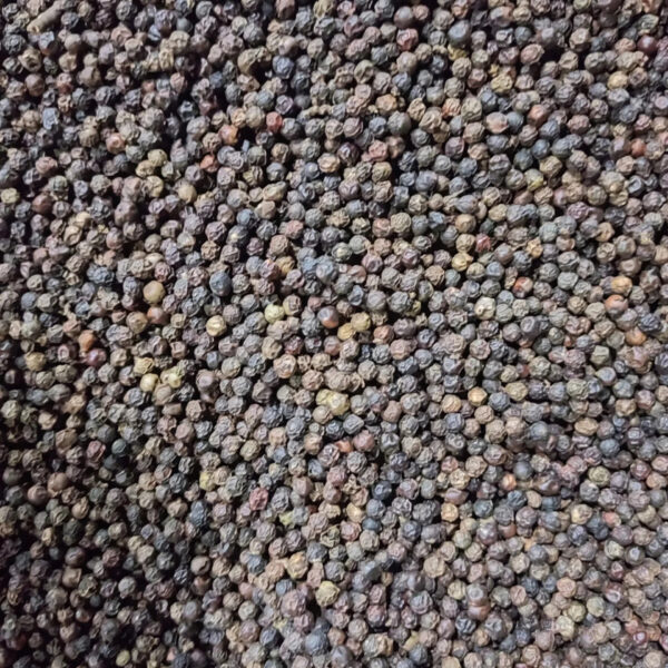 High Quality Vietnam Black Pepper Whole Natural Flavor Best Price Single Spices & Herbs Natural Color Discounted