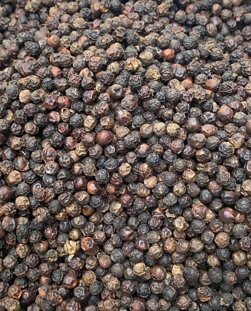 High Quality Vietnam Black Pepper Herb Fresh Spicy Taste Dried Whole Form Spiciness for Cooking Fried Pepperl Black Peppercorn