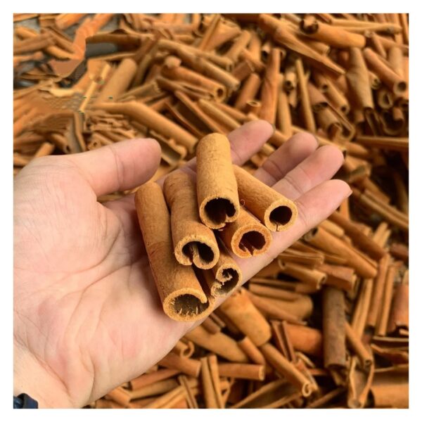 Wholesale Price Cinnamon Sticks Superior Quality New Harvest Rich in Flavour Bulk Packaging Free Sample
