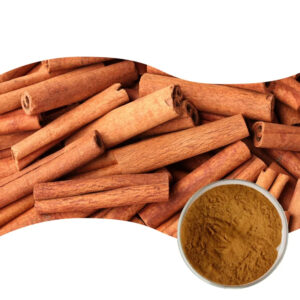 Customized Package and Best Price Cinnamon Powder Ceylon Cinnamon Powder