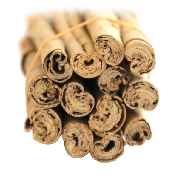 ALBA C5 Special Cinnamon C5 C4 M5 + Bulk Whole Cinnamon Sticks Wholesale Cheap Price Sri Lanka