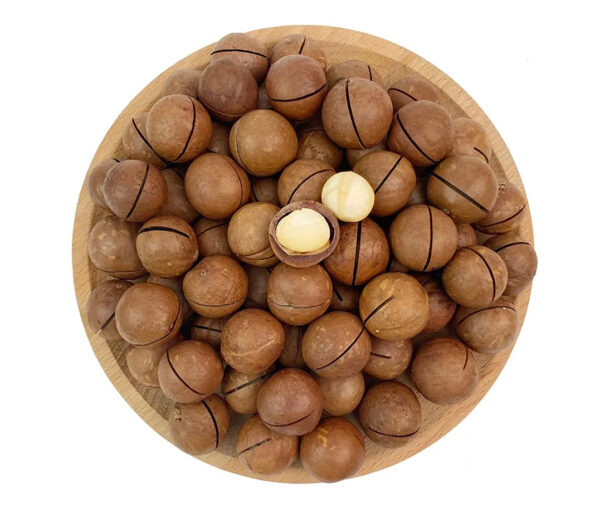 Wholesale High Quality Chinese Nuts Cream Flavor Roasted Dried Macadamia Nuts for Snack Food