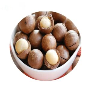 Best Price New Crops Macadamia Nuts