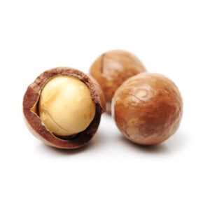 Direct Use Nuts & Kernels Roasted Raw Dried 100% Natural Nutritious Food Natural Taste Macadamia Nuts With High Quality