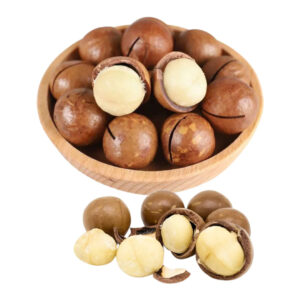 High-Quality Macadamia Nuts Fresh Crunchy and Nutrient-Rich for Healthy Living