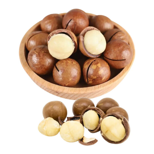 High-Quality Macadamia Nuts Fresh Crunchy and Nutrient-Rich for Healthy Living
